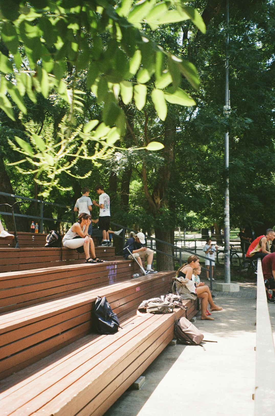 People gathering in a public city plaza with benches and trees